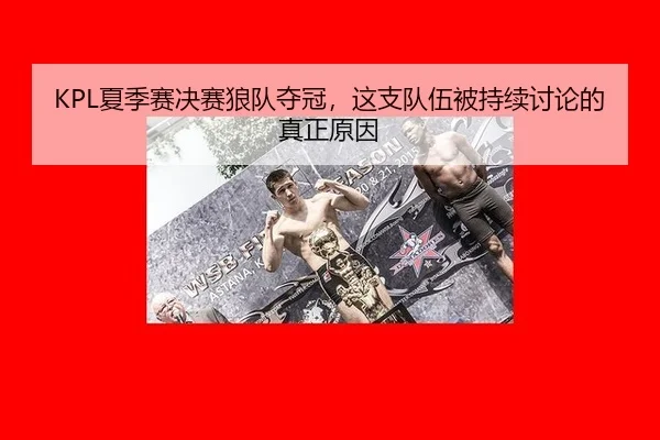 xia-ji-sai-jue-sai-lang-dui-duo-guan-zhe-zhi-dui-wu-bei-chi-xu-tao-lun-de-zhen-zheng-yuan-yin-2-733.jpg