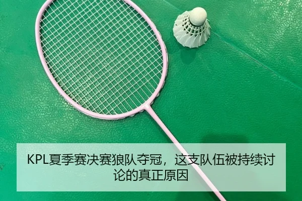 KPL夏季赛决赛狼队夺冠，这支队伍被持续讨论的真正原因